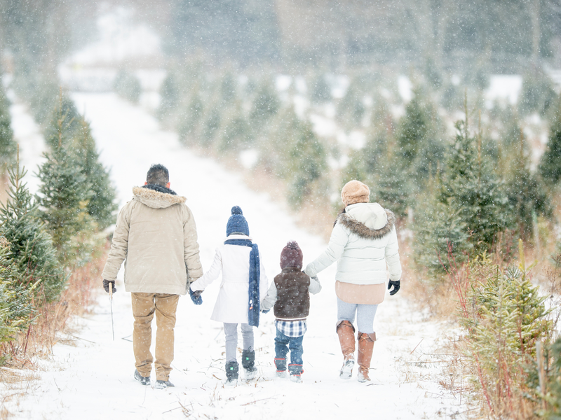 Family Snow